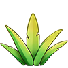 放草