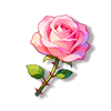 月季花