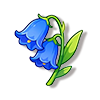 蓝铃花