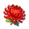 秋菊（红色）