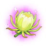 昙花