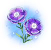 石竹花