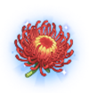 针垫花