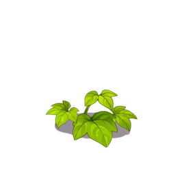第3阶段