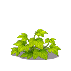 第4阶段