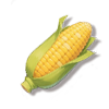 玉米