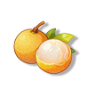 桂圆