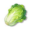 大白菜
