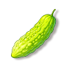 苦瓜