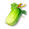 冬瓜
