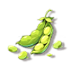 黄豆
