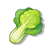 油菜