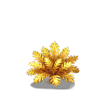 第3阶段