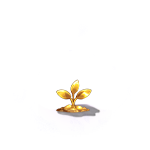 第2阶段