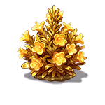 黄金·欧石楠
