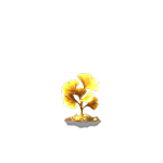 第2阶段