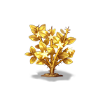 第3阶段