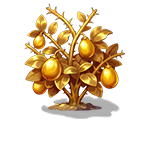 黄金·黄金果