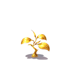 第3阶段