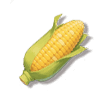 玉米