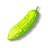 苦瓜