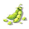 黄豆